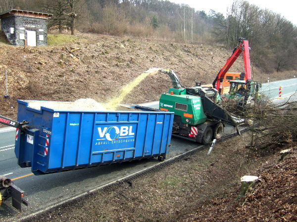 Containerdienst, Schreddermaterial Baumfällung