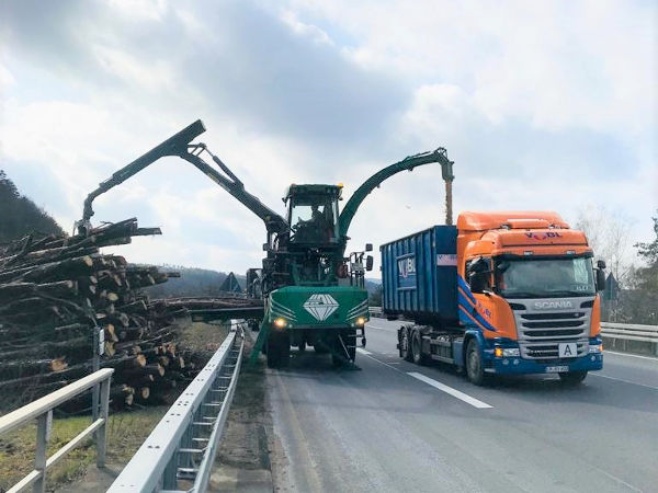 Containerdienst, Schreddermaterial Baumfällung